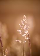 2025-06-30/04b81000-32f0-4f59-81f0-2d80b68db5fb