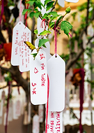 2025-06-30/e86c299e-dd16-47c2-b89b-f05033f38c61