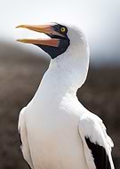 2025-07-02/b373bd25-219c-4de3-9418-b0583e0ea857