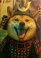 2025-07-03/9167ea7a-d7dc-416d-b33c-1ad0f67c4947