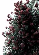 2025-07-07/3554cc32-9069-41e8-9616-a3ef6aa659f1