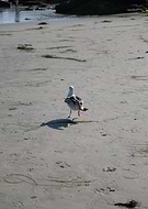 2025-07-07/3946df9c-14db-411c-90c7-51cb701d081b