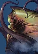 collection-preview-3