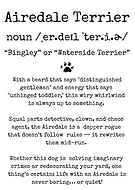 2025-07-08/e6933464-6fb1-43a7-b15a-055a8acf4f99