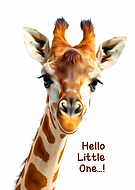 2025-07-09/1fa9e3e6-b06c-418b-90d1-110ba189a6c3