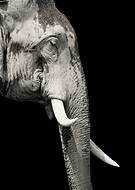 2025-07-10/05e7a244-9029-448e-953d-682e19af525c