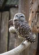 2025-07-10/b6e01e1d-9b82-43a1-9822-de44991d5d32