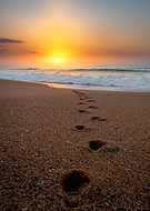 2025-07-11/5936a73e-42be-4852-9b1e-172a4ad55ca2