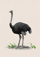 2025-07-12/3b8ad7bc-1cd8-4f53-807f-0bcb09320086