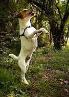 2025-07-12/ad8c3641-5650-40e3-b58e-8bd987f1b149