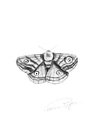 2025-07-14/b2c7a101-2fb7-4230-a81d-dce63c7cb3f8