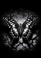 2025-07-15/e362ac8d-a07b-487e-9222-9e732369d848