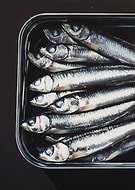 2025-07-15/f338cb85-3f3d-46db-aa36-07742f9a1a20