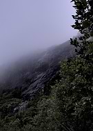 2025-07-17/0647aa17-40ab-499a-bcd6-1b187abbeae2