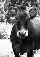 2025-07-20/bc85ff3b-3279-4649-97ec-e91623cedc99