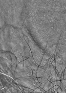 2025-07-20/c43ab63f-3f73-422d-8d8e-218c2fc6370e