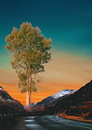 2025-07-20/f8845d08-8fc0-4c1a-9a1a-f3b8f35c9a2f