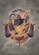 collection-preview-2