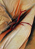 2025-07-21/2aa6e853-9714-4402-96b8-764b97e1ee51