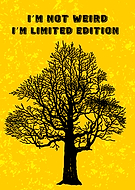 2025-07-21/98d63bb9-8377-4f21-ac2e-0a074615a6ad