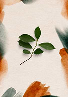 2025-07-21/9b52526d-ab77-43ea-8bea-44ac12ea3aac