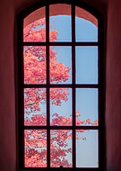 2025-07-22/0daa2d5d-7342-4e79-be0d-8d3557d55e19