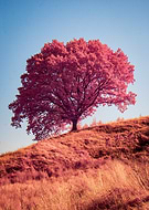 2025-07-22/b6d500a9-f807-4dbd-bdae-fb61e22da5b5