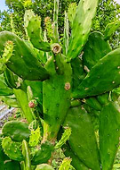 2025-07-22/f542d544-dff6-4ef2-bdd6-3fccc68c1748