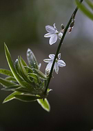 2025-07-23/10975bcf-c5e4-4e91-8d63-1b2c48ce5f25