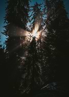 2025-07-23/c1fa9bc8-7103-4723-8f51-0037ac32a838