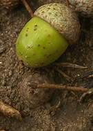 2025-07-24/737be70a-4a82-4dda-b2b1-101c80341a75