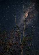 2025-07-24/c68cff56-1f9d-44fd-94fb-e93703f5e67f