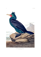 2025-07-25/86709f6c-1ba5-47d0-a744-bbd1344afde8