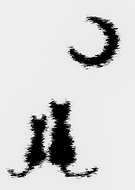 2025-07-30/fff20259-ba58-49c0-9681-b90346ec9497