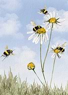 2025-07-31/455ce414-67e1-4845-bbe8-e210575f630d