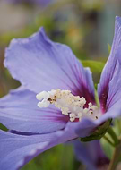 2025-07-31/b1596856-fd14-41f9-9519-f71b8912b296