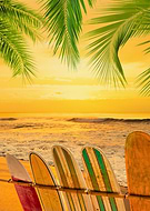 2025-07-31/dc8644dc-40ac-442d-bb64-59c9fe782dda