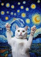 2025-08-01/357ad160-46fb-4a89-aec0-1333a959a3f3