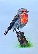 2025-08-04/26c6a941-43e7-4e4c-823c-fbcda55438bf