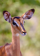 2025-08-05/ffee92f5-afe8-494a-a2d4-dff2a049cf84