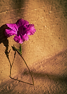 2025-08-06/25067993-5e1e-4c69-a0b6-3d5209253d2a