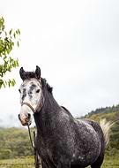 2025-08-06/73b32edc-d640-4514-9fe5-e52b06d0c614