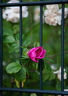 2025-08-10/828f0598-d570-407e-975f-5ef4fa9532b0