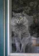 2025-08-13/2ea63945-0430-48b9-a010-527b77180e38