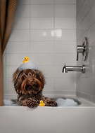 2025-08-14/3dce09a1-6bf2-4892-a416-29931072cd4e