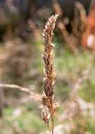 2025-08-17/efdcf78f-fc37-49af-b1ad-9d5a85f27ddb