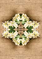 2025-08-18/dc3f8085-e0ae-423d-b0a9-529a3af46b6b