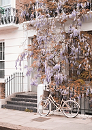 2025-08-20/2541c6c4-ae42-478a-b578-ee2ab8b779a4