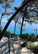 2025-08-21/6488809b-f397-4ffb-af78-2e25203f09fd