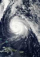 collection-preview-3